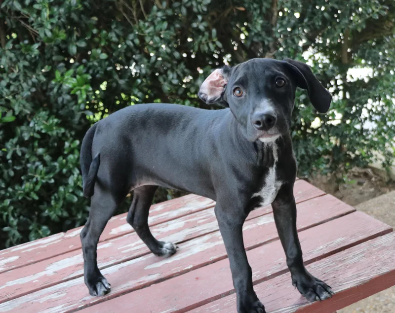 Kit Keller thumbnail 4