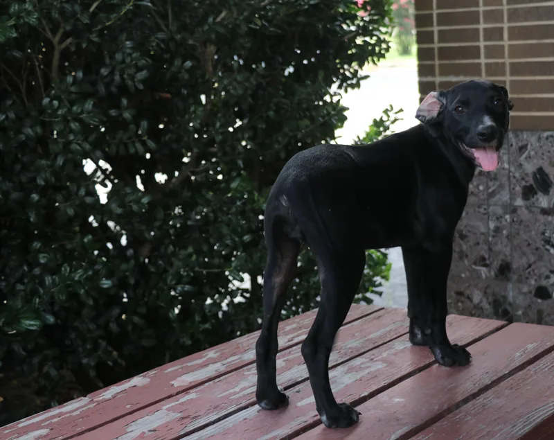 Kit Keller thumbnail 5