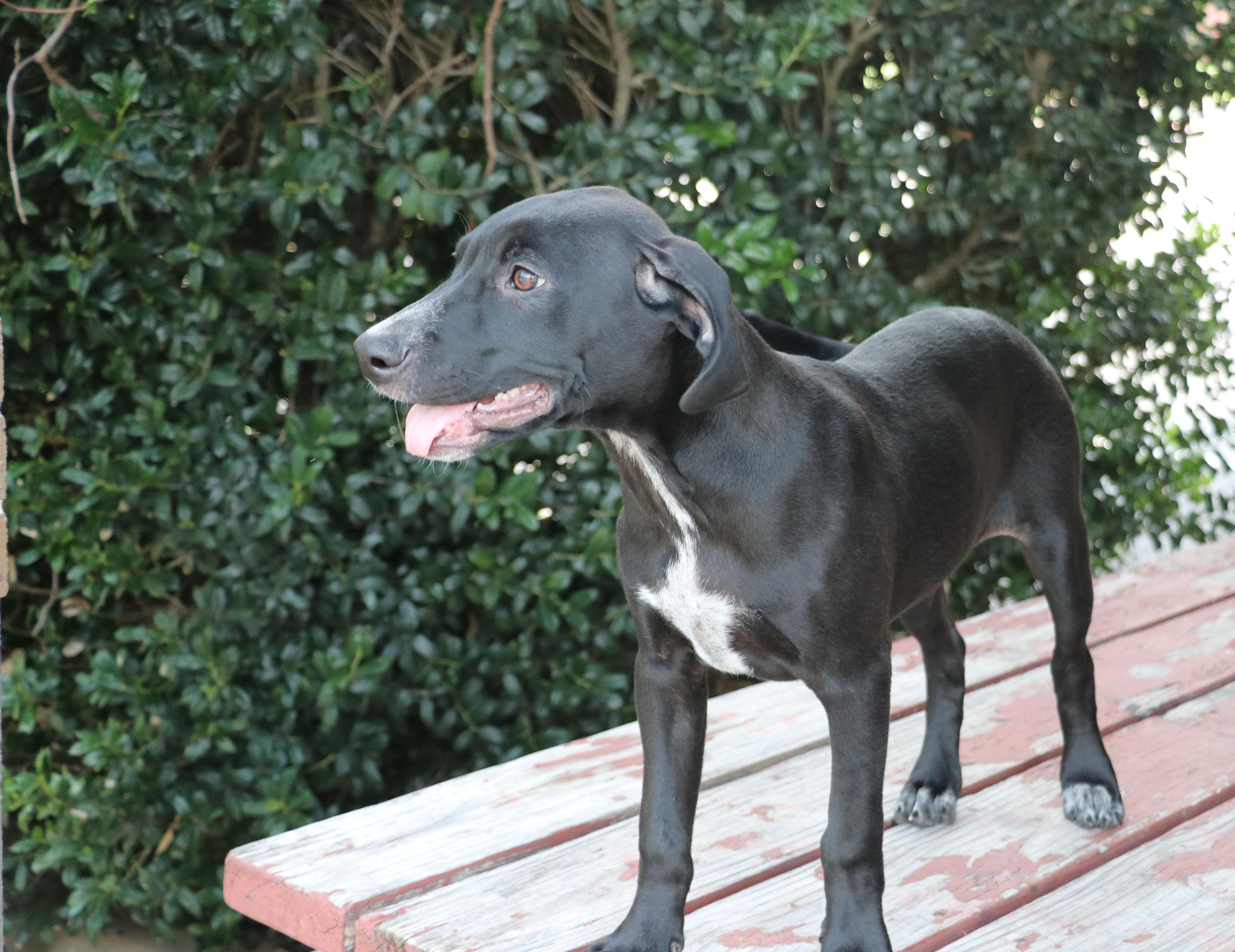 Kit Keller thumbnail 6