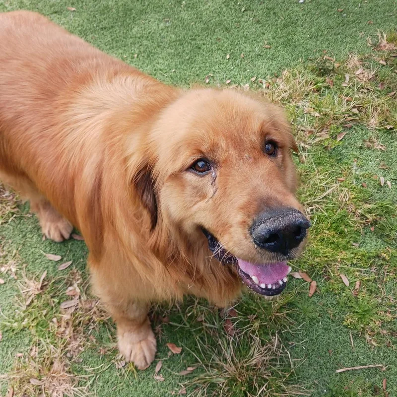 Cake  Aka Duke thumbnail 6