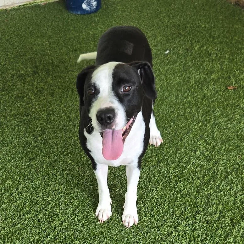 Darlin' Hope thumbnail 2