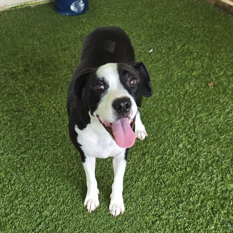 Darlin' Hope thumbnail 3