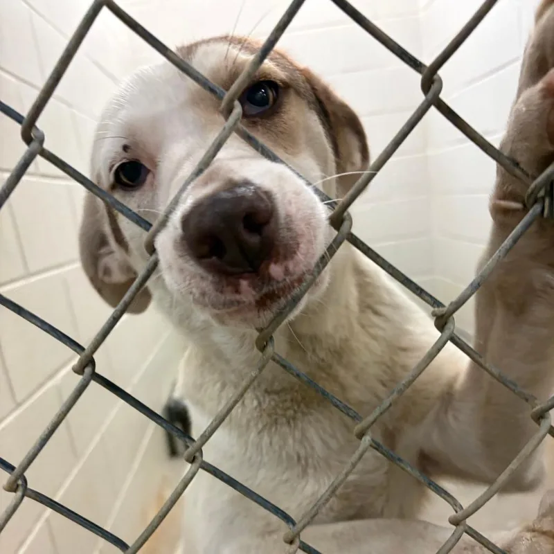 Serena  U thumbnail 2