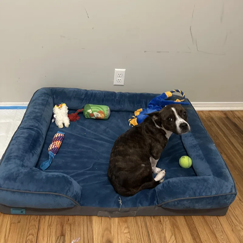 Mama London “mother To thumbnail 2