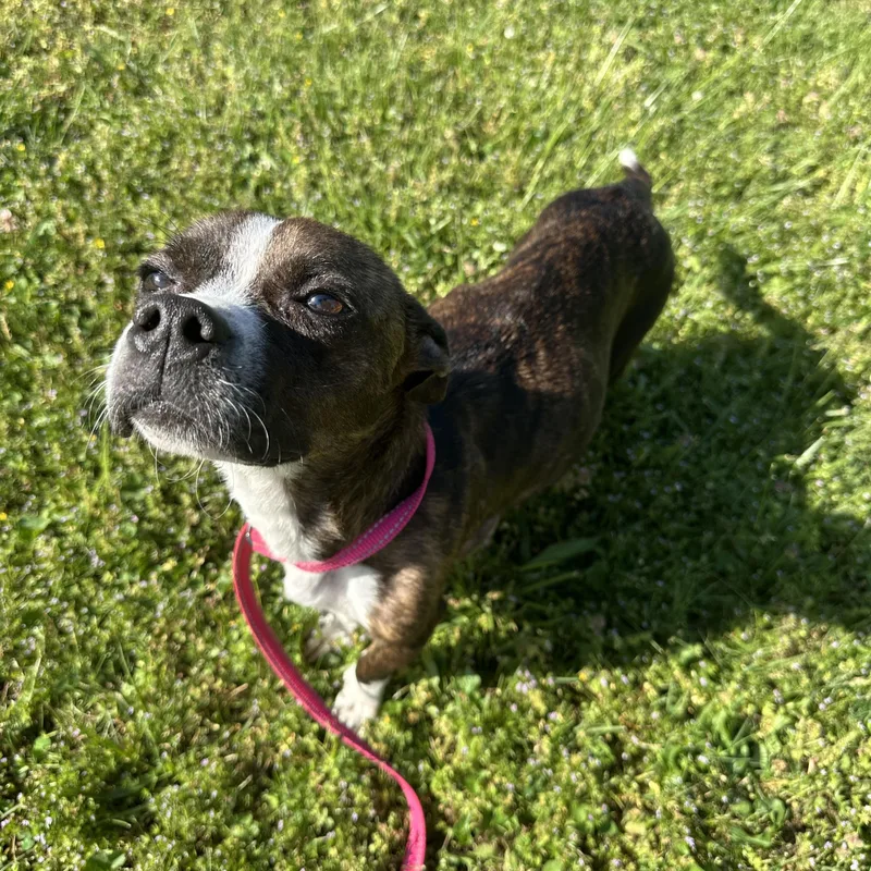 Mama London “mother To thumbnail 3