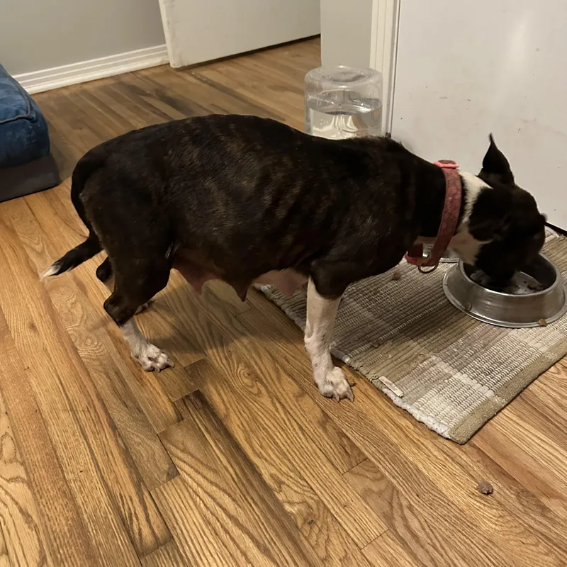 Mama London “mother To thumbnail 4