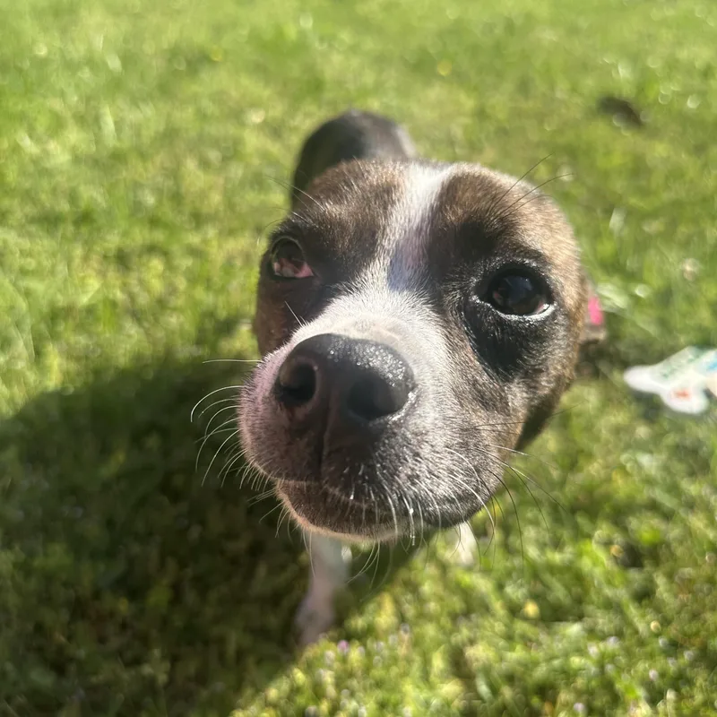 Mama London “mother To thumbnail 5