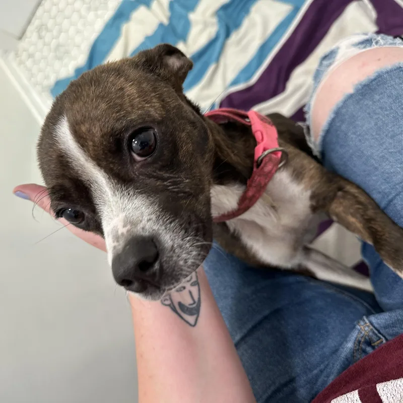 Mama London “mother To thumbnail 6