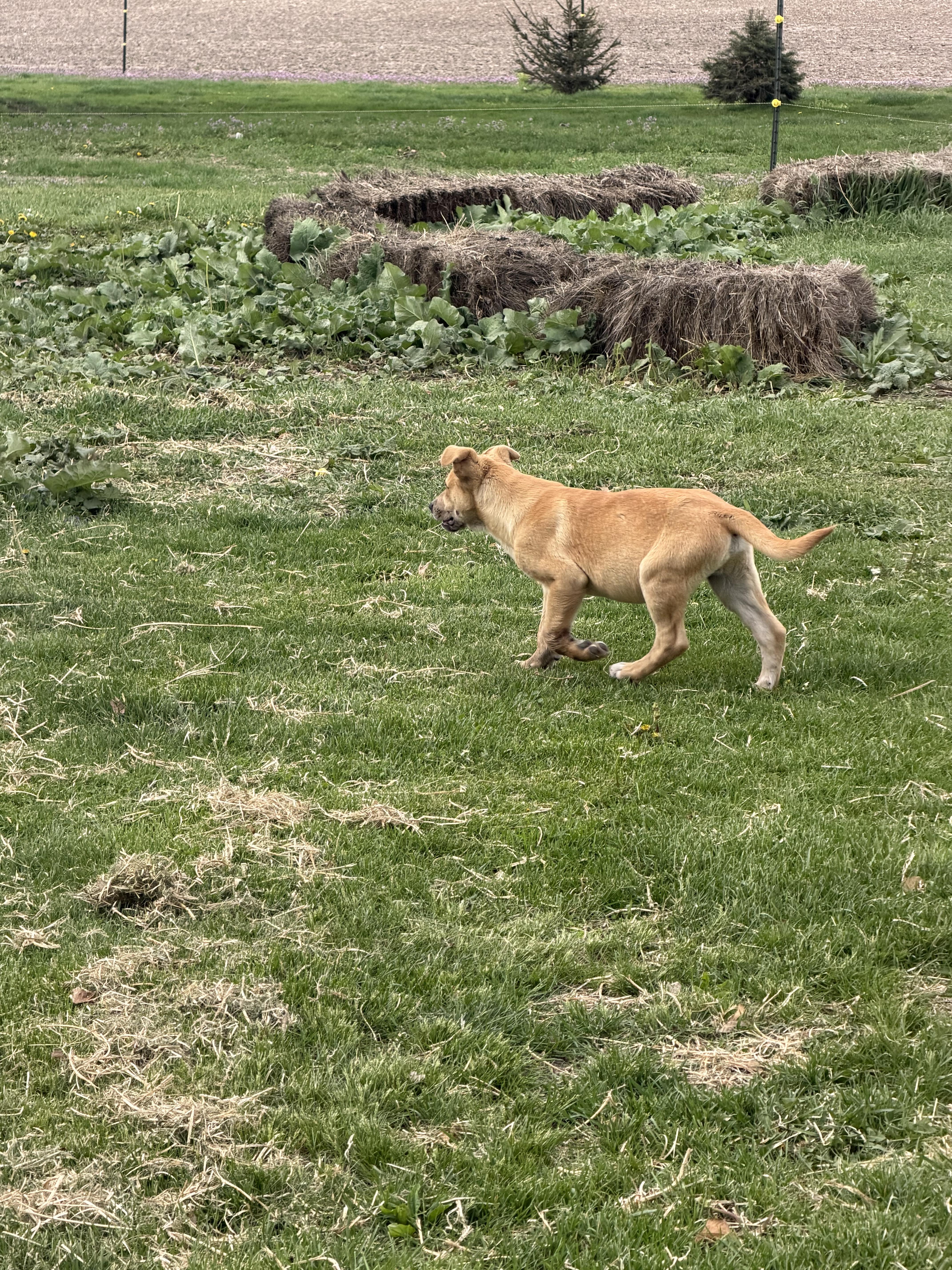 Smuckers thumbnail 3