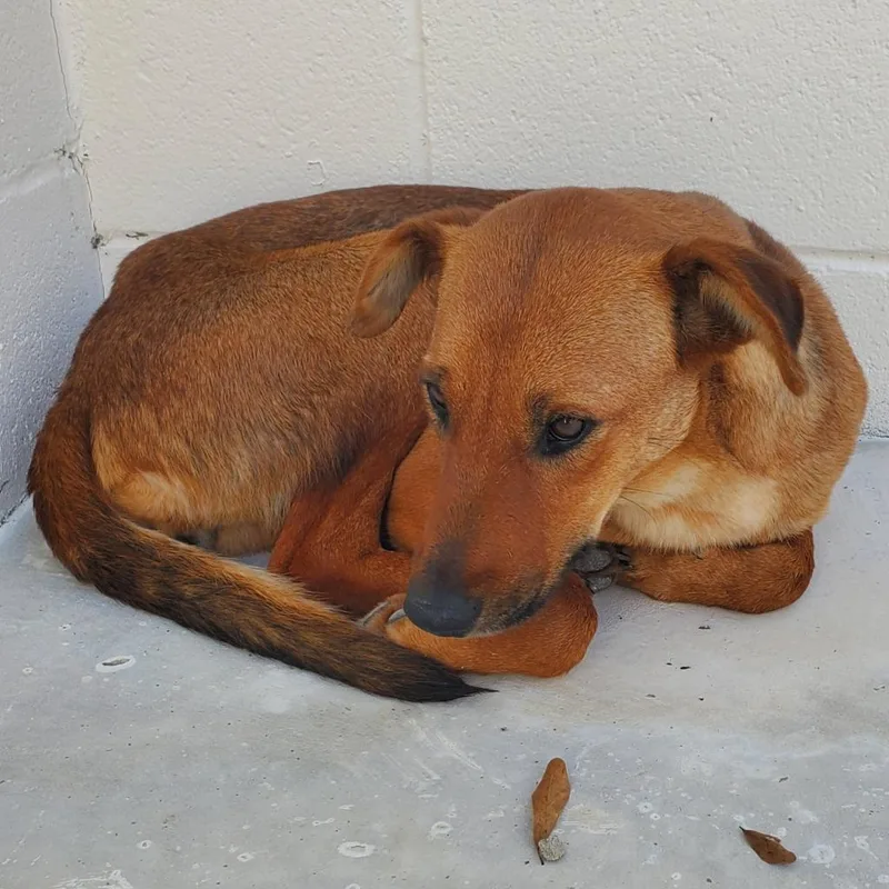 Pink Whitney thumbnail 2