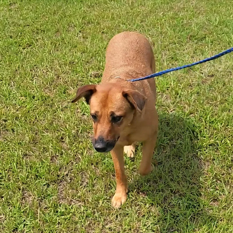 Pink Whitney thumbnail 3