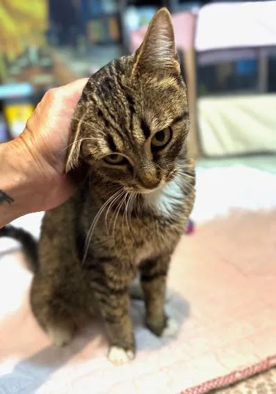 Mama Moonshine thumbnail 2