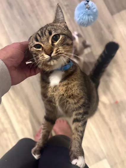 Mama Moonshine thumbnail 4