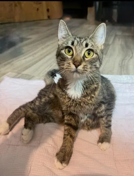 Mama Moonshine thumbnail 5