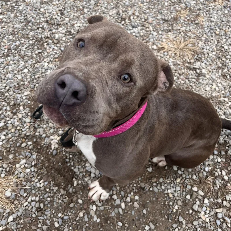 Rain Water thumbnail 2