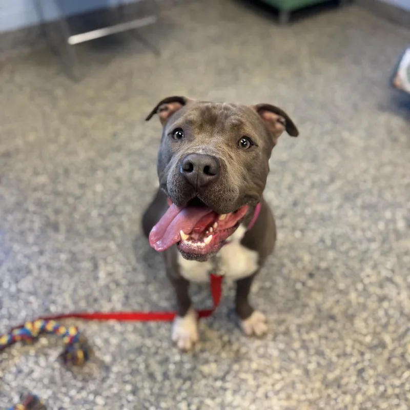 Rain Water thumbnail 3