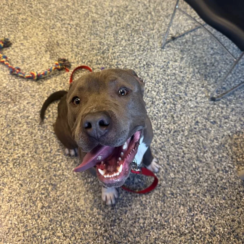 Rain Water thumbnail 4