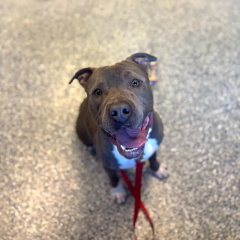 Rain Water thumbnail 5