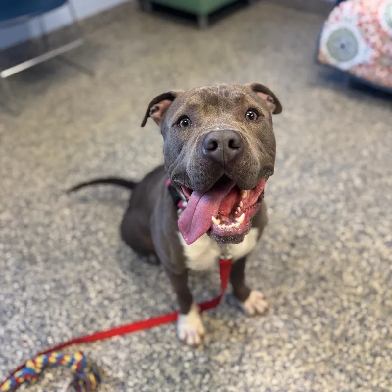 Rain Water thumbnail 6