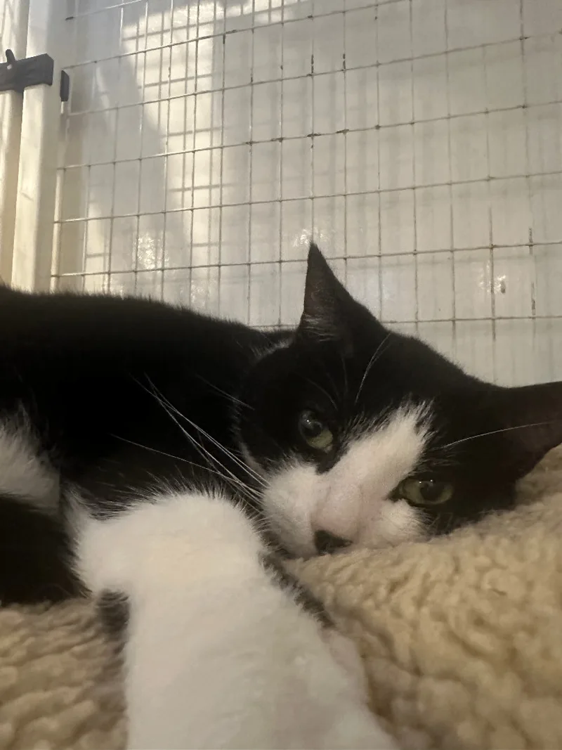 Rum & Raisin thumbnail 2