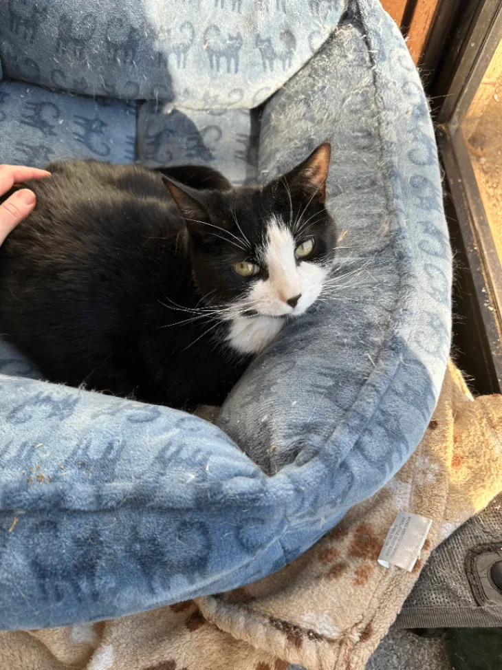 Rum & Raisin thumbnail 4