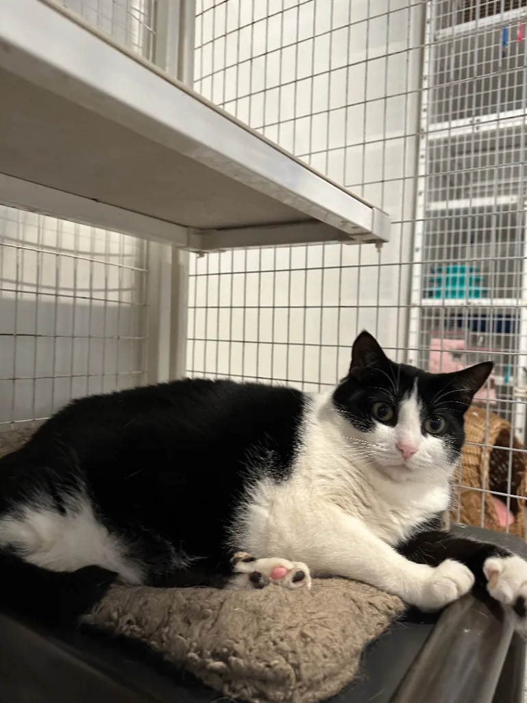 Rum & Raisin thumbnail 5