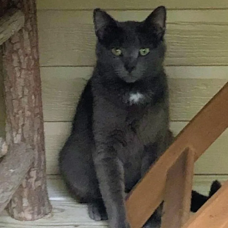 Mama Blue
