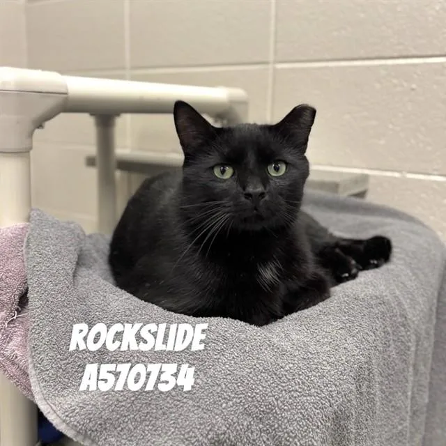 Rockslide