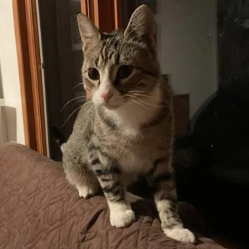 Jax & Jace thumbnail 2