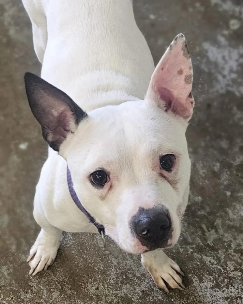 Tater Hold thumbnail 2