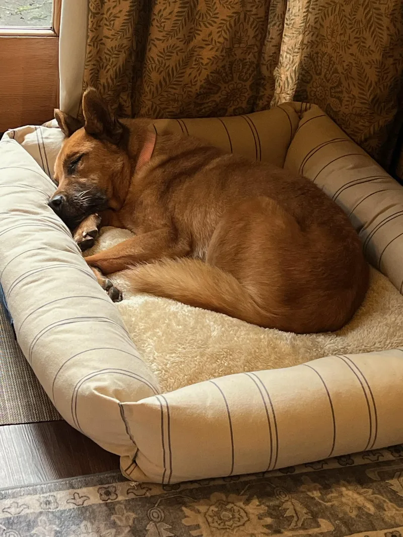 Mr. Darryl Pacman Paco! thumbnail 3