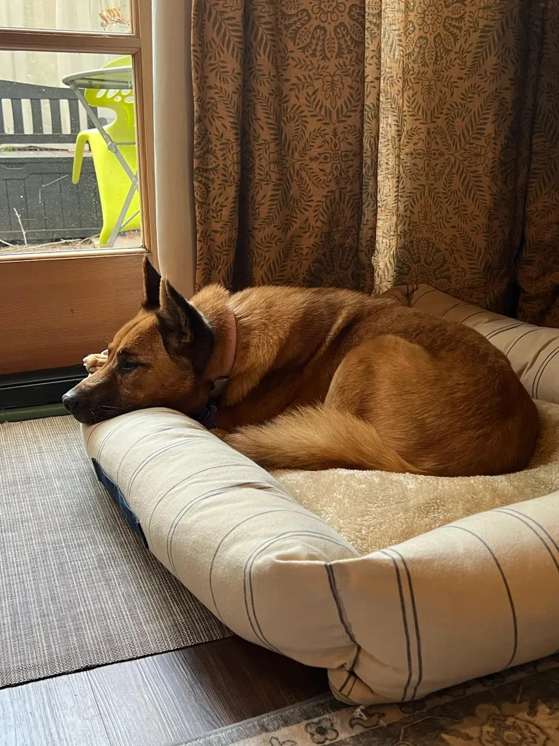 Mr. Darryl Pacman Paco! thumbnail 4