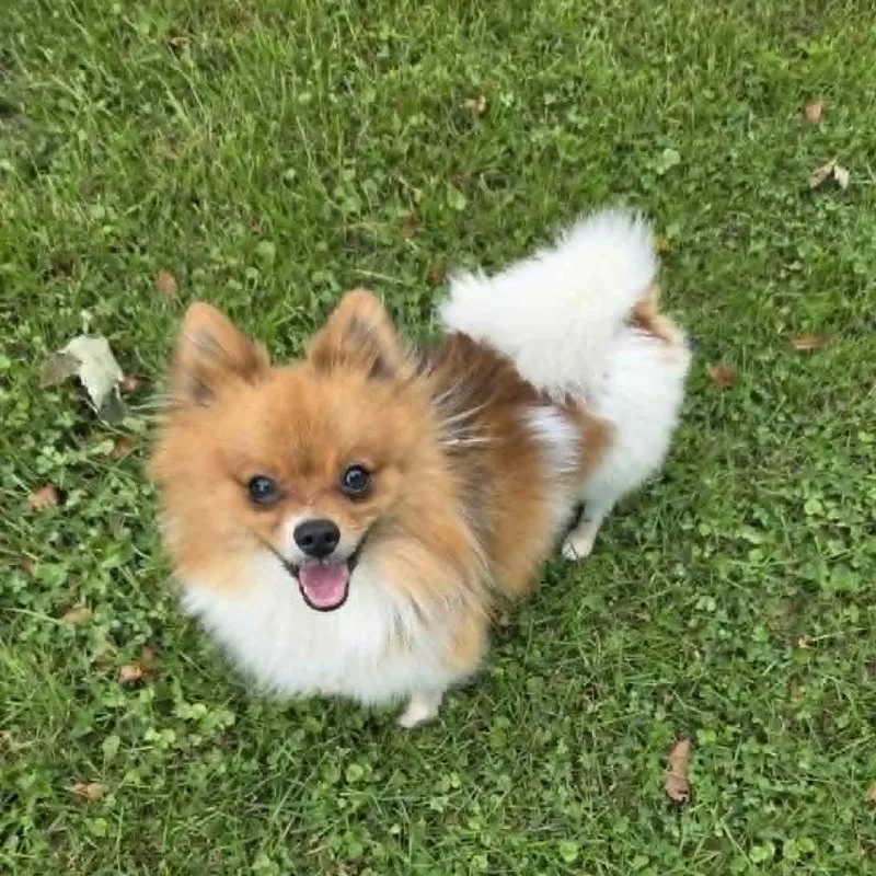 Bumi