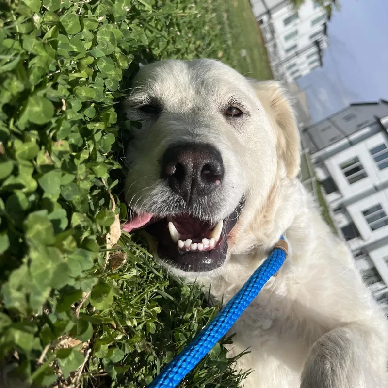 Hannah Montana thumbnail 2