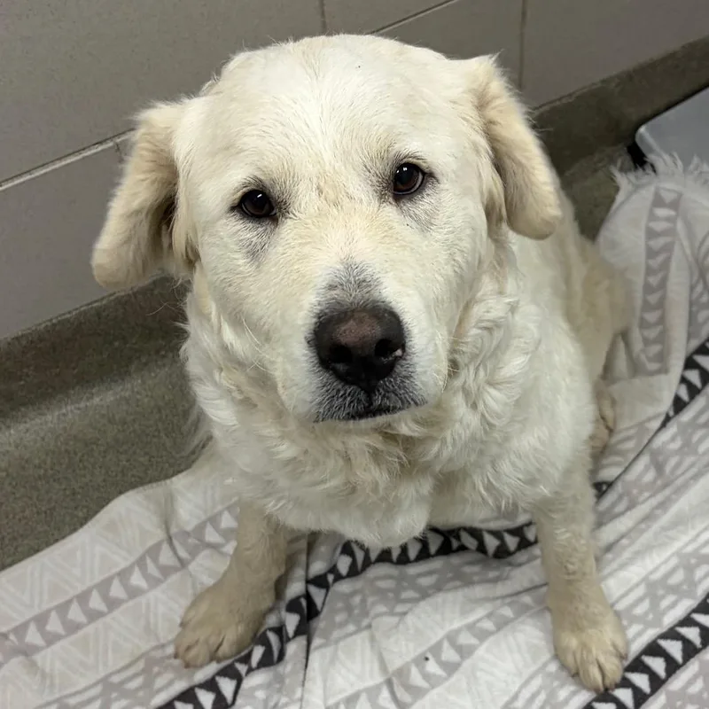 Hannah Montana thumbnail 3