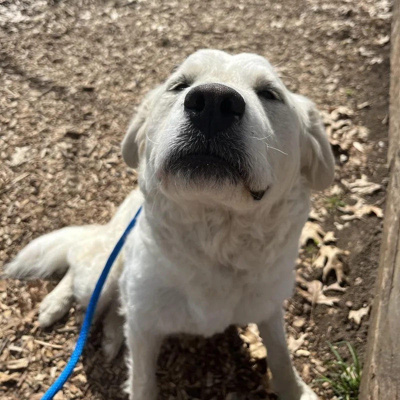 Hannah Montana thumbnail 4