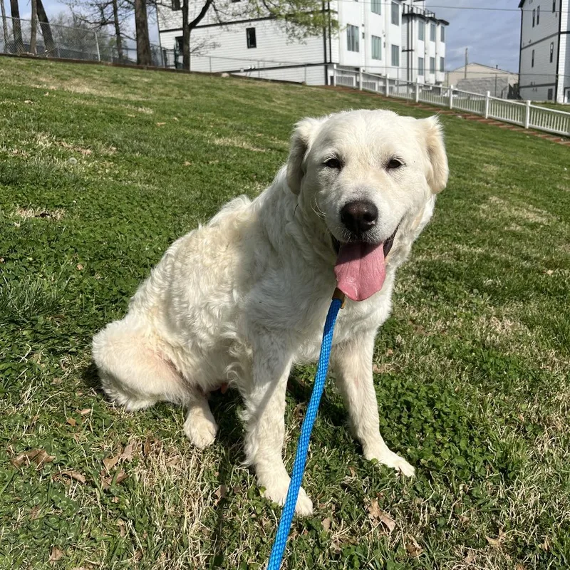 Hannah Montana thumbnail 5