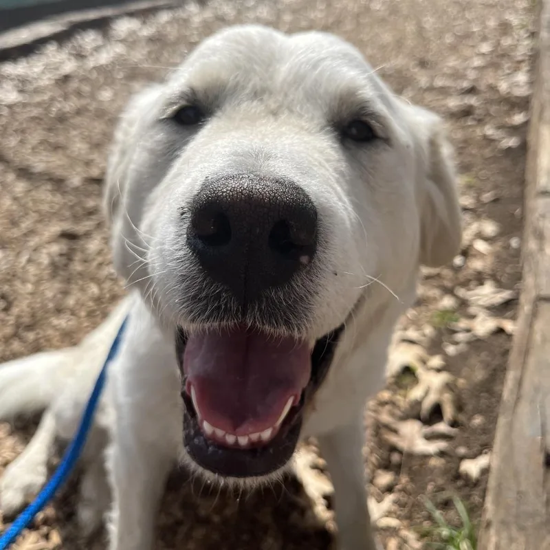 Hannah Montana thumbnail 6