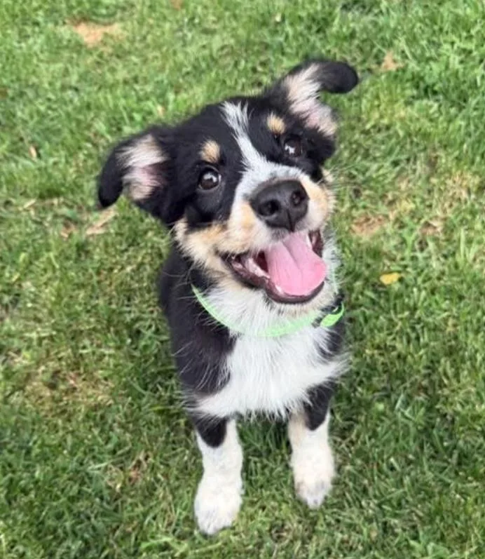 Rainier thumbnail 2
