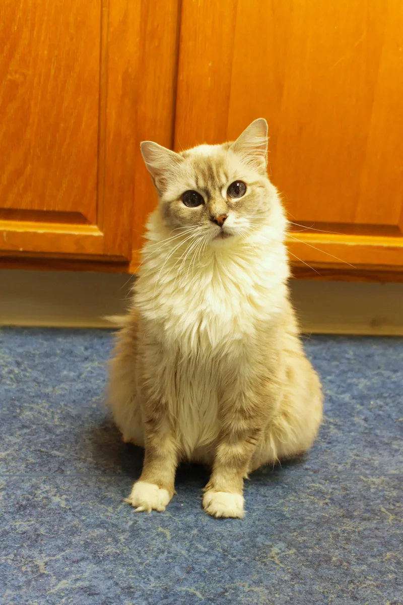 Tigger thumbnail 4
