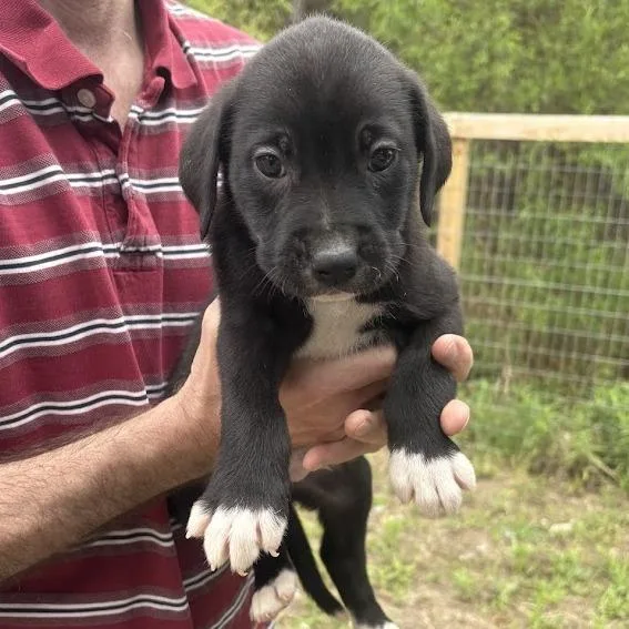 Pearl Jam thumbnail 2