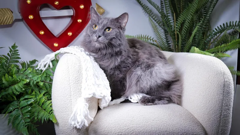 Gracie & Hunter thumbnail 3