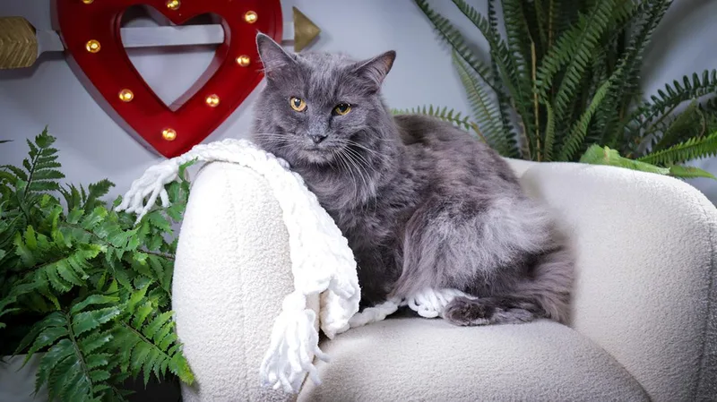 Gracie & Hunter thumbnail 4