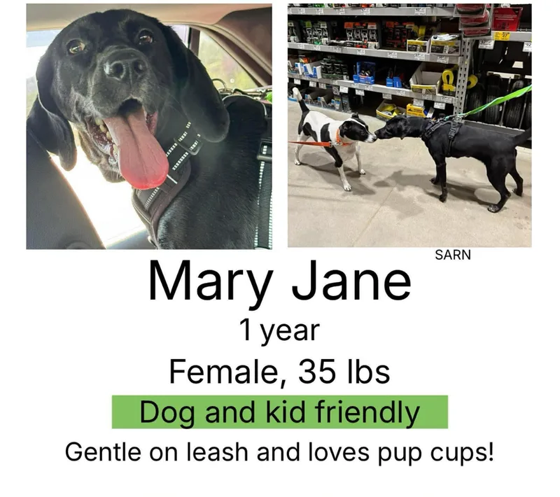 Mary Jane thumbnail 3