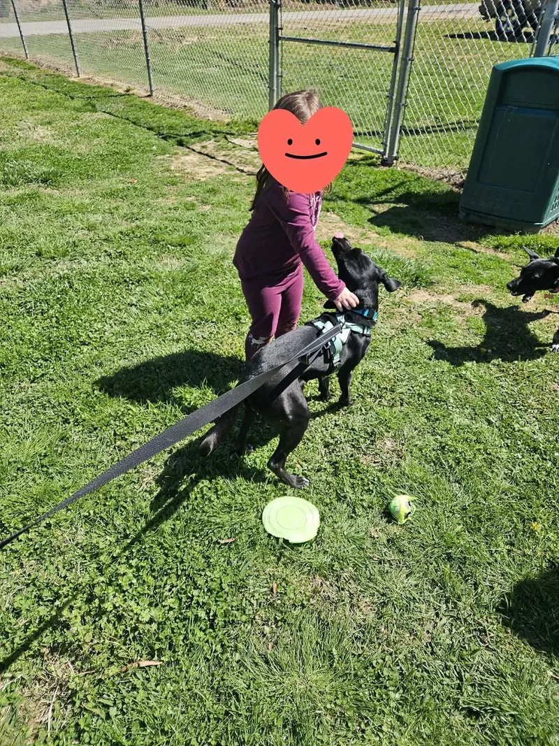 Mary Jane thumbnail 6