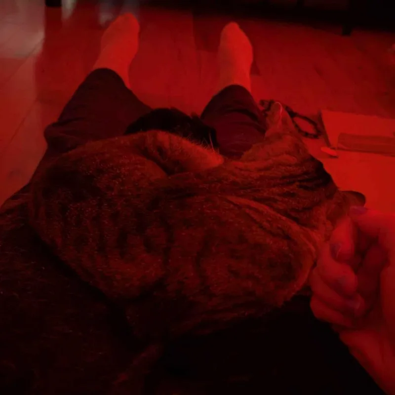 Skittles thumbnail 4