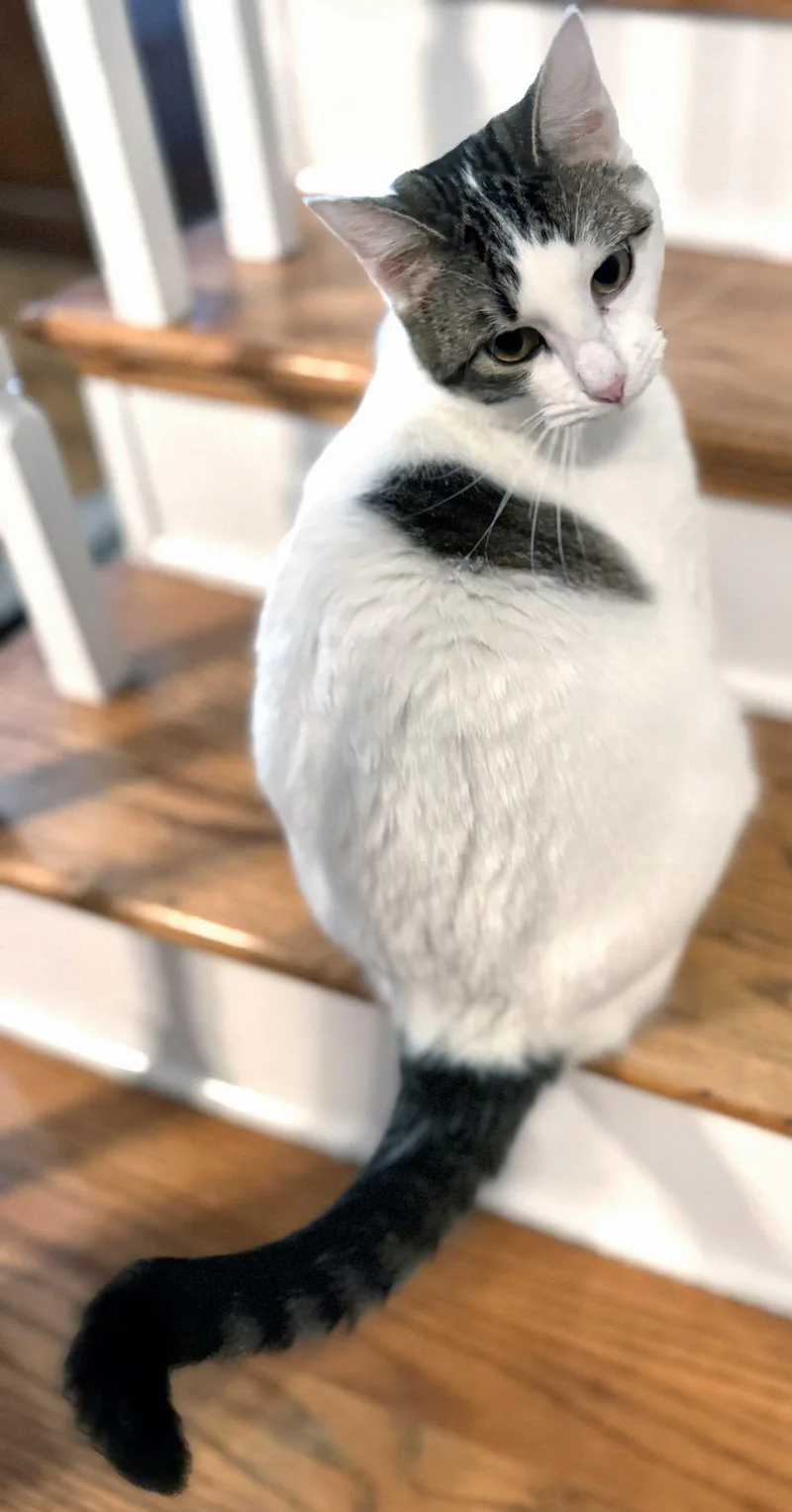 Momma Peach thumbnail 2