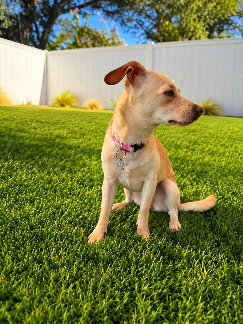 Bailey thumbnail 2