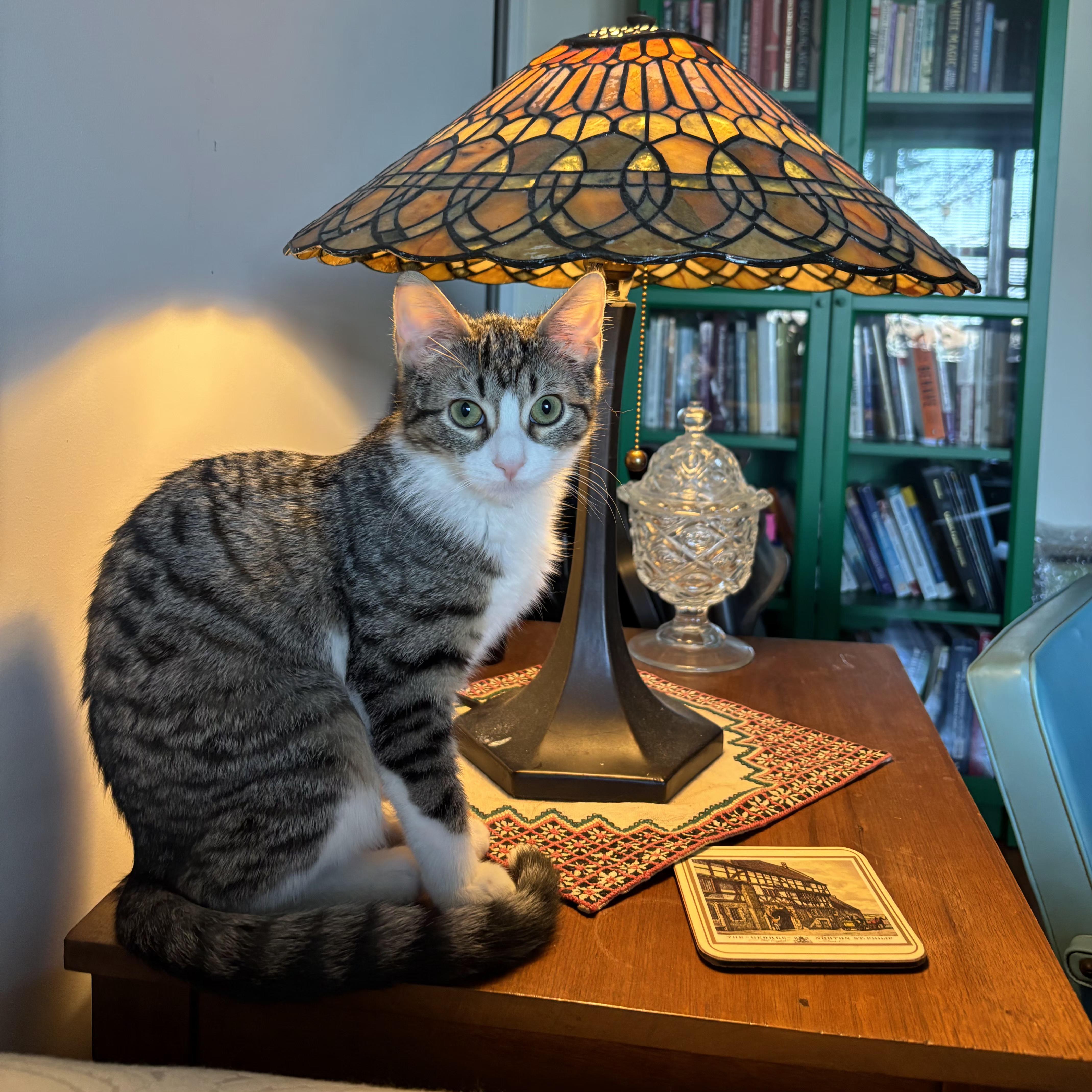 Roseanna And Patricia Arcat thumbnail 3