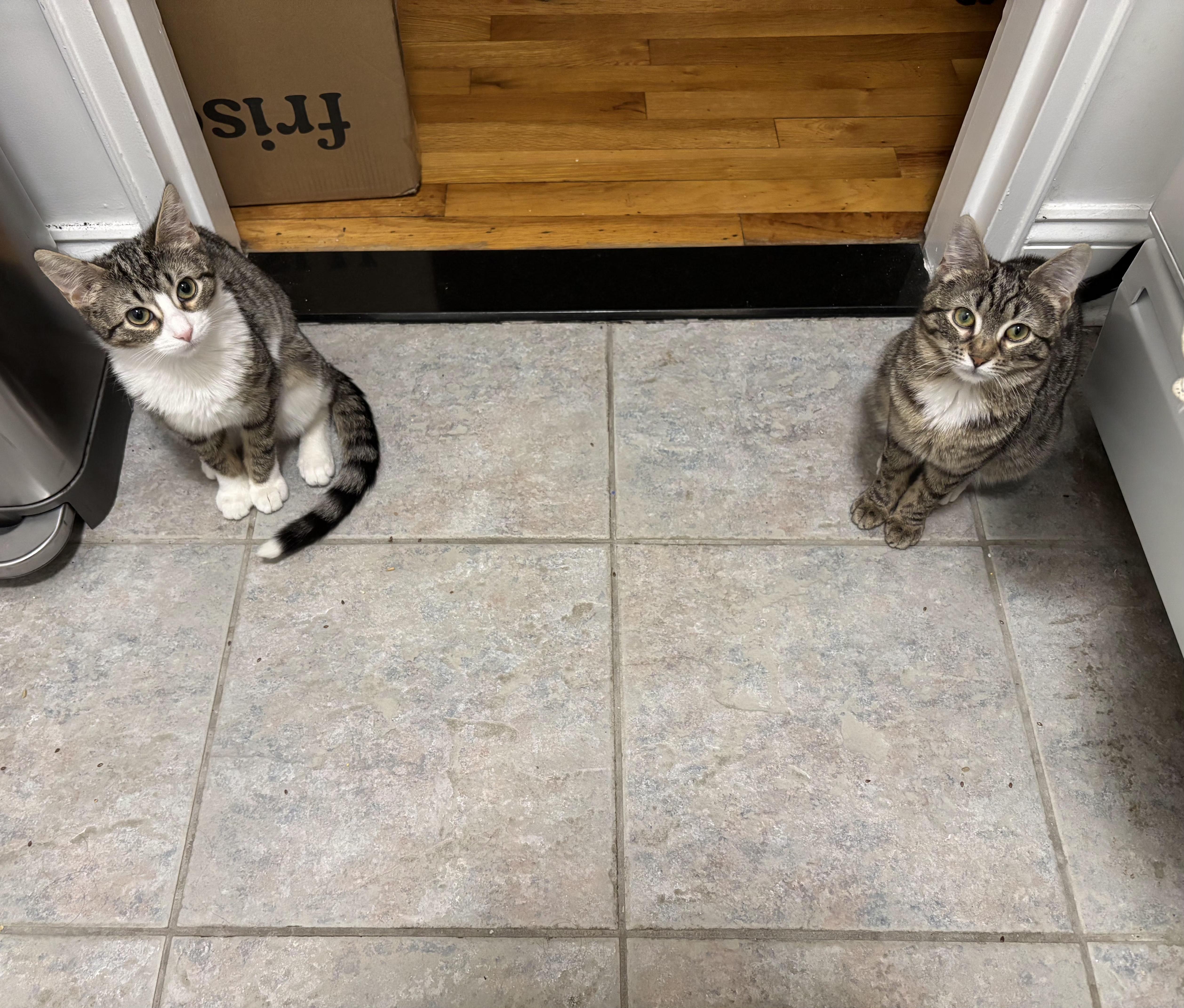 Roseanna And Patricia Arcat thumbnail 5